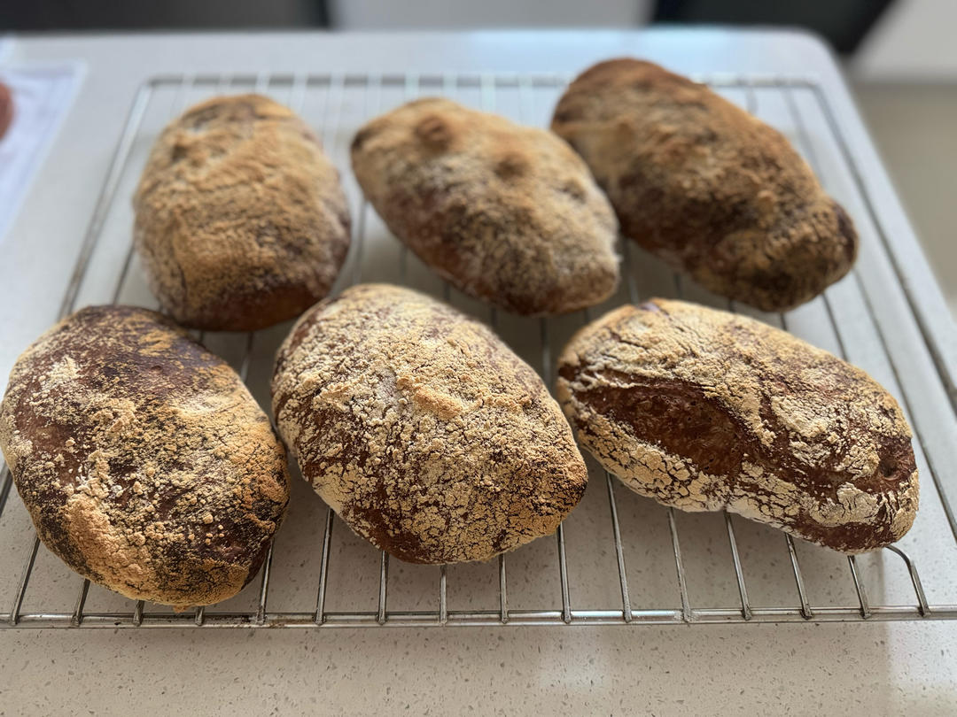 超好吃的恰巴塔Ciabatta～来咯😋