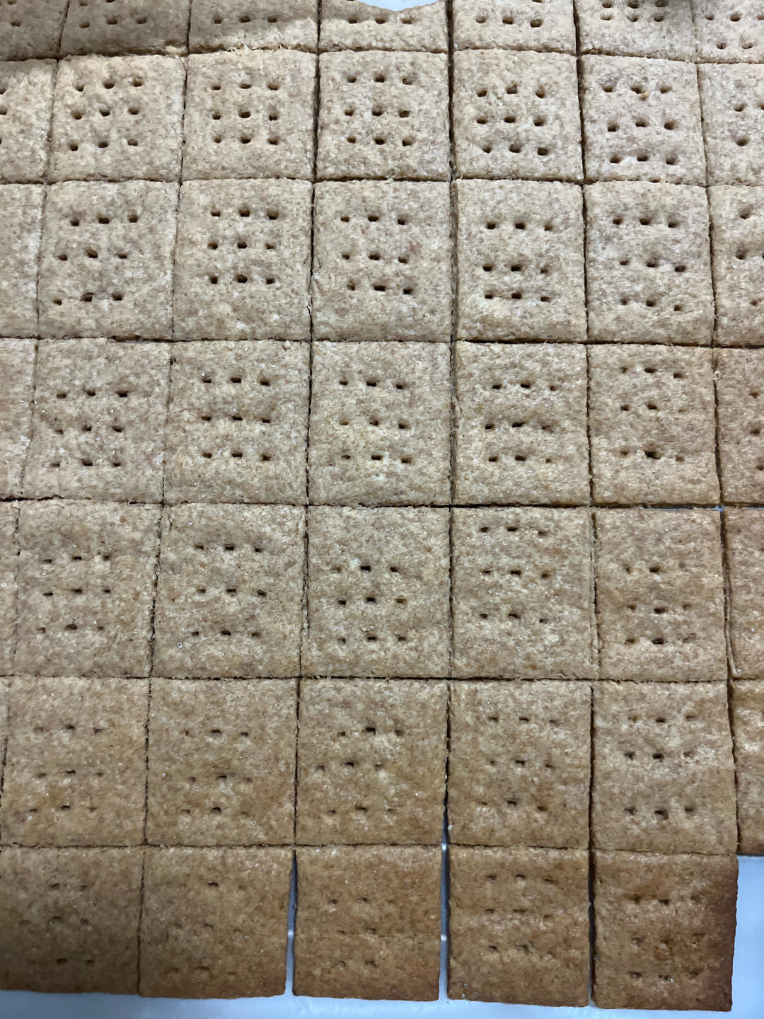 全麦消化饼干【朴素温良的好味道】