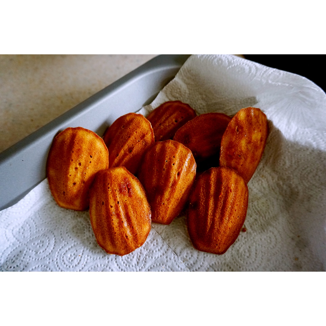 小叶子的剑桥日志