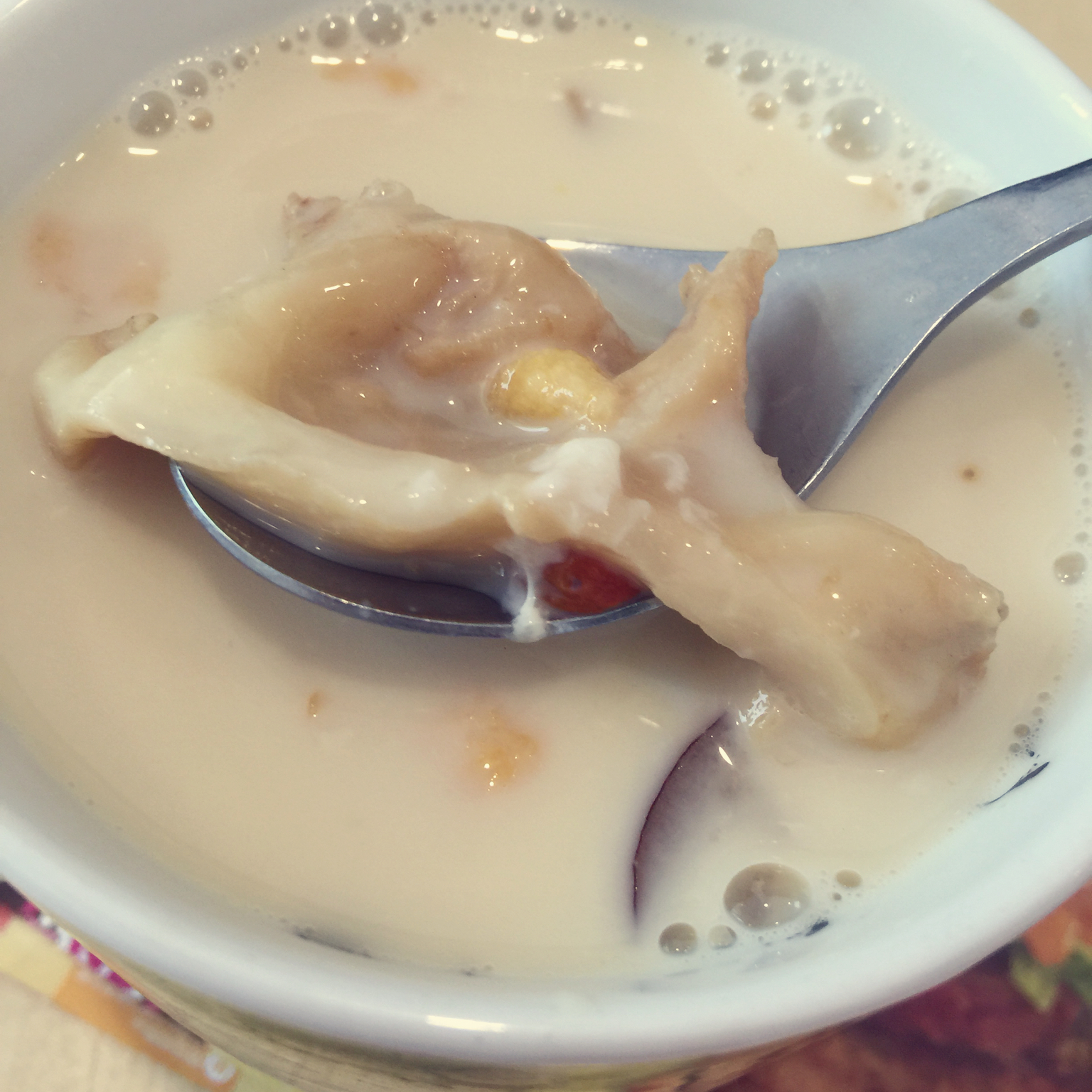 鲜奶炖花胶