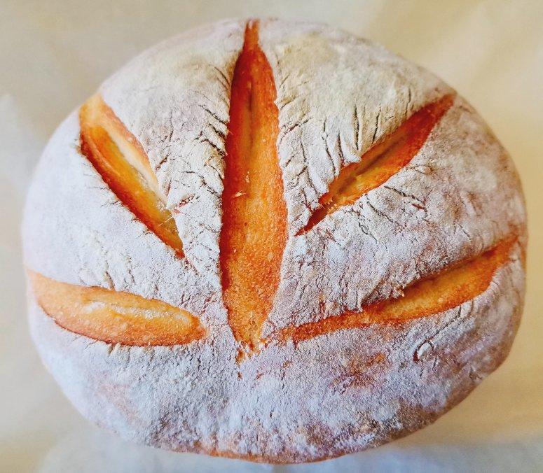 超详细每天五分钟免揉面包之经典万能无油糖面包