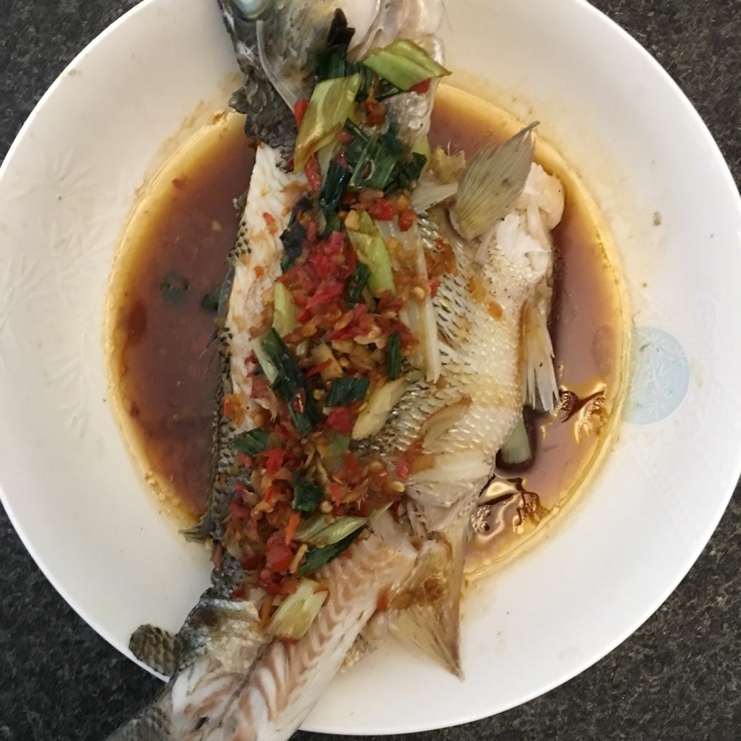 lucky28做的超入味清蒸鱼清蒸鲈鱼桂花鱼家常独创