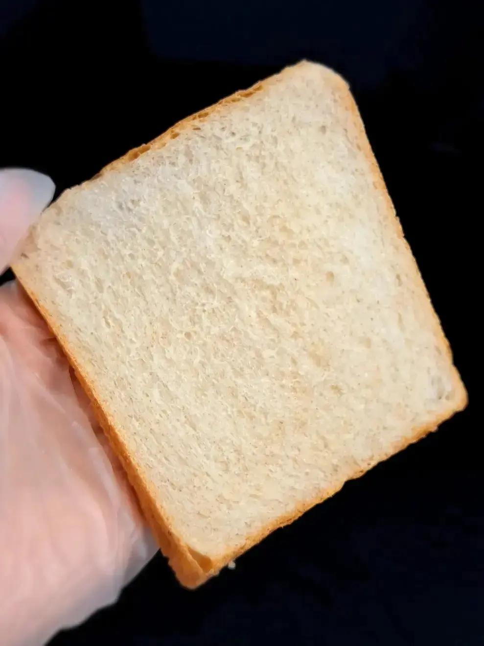 波兰种全麦吐司