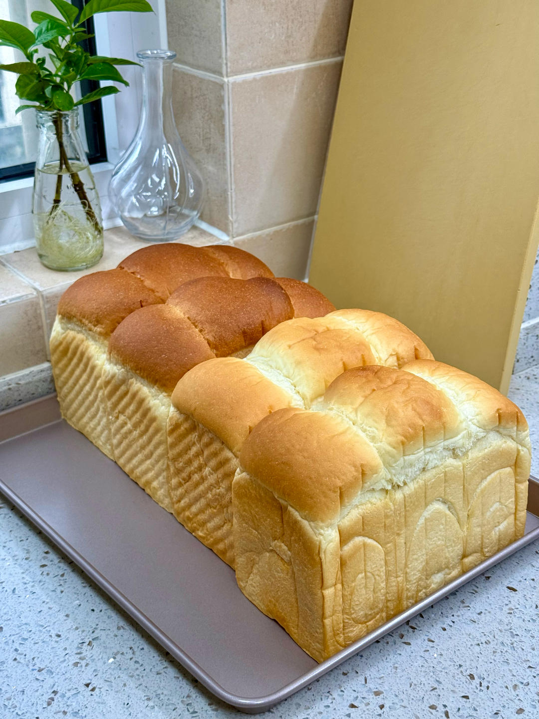 shuiting's吐司面包🍞