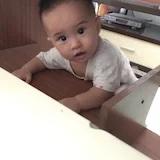Lee_Lee_Lee