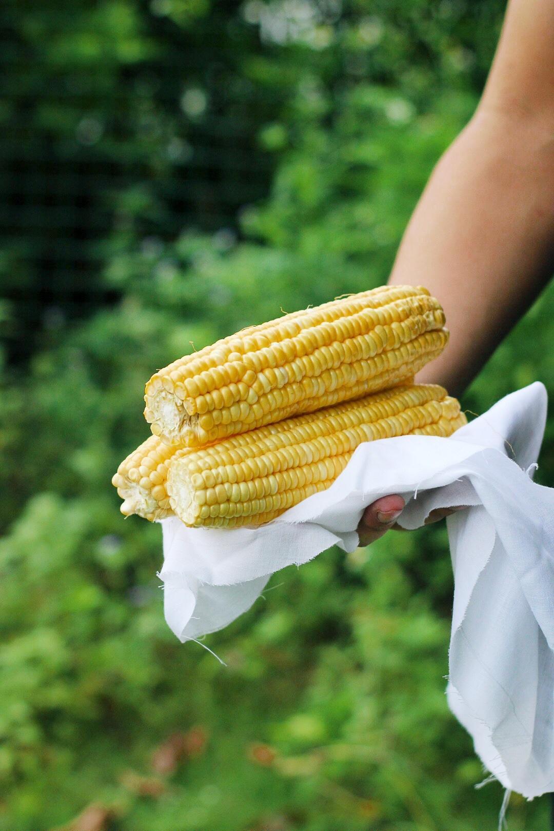 花好月圆之郊外野炊——素食当季东莞站的做法 步骤13