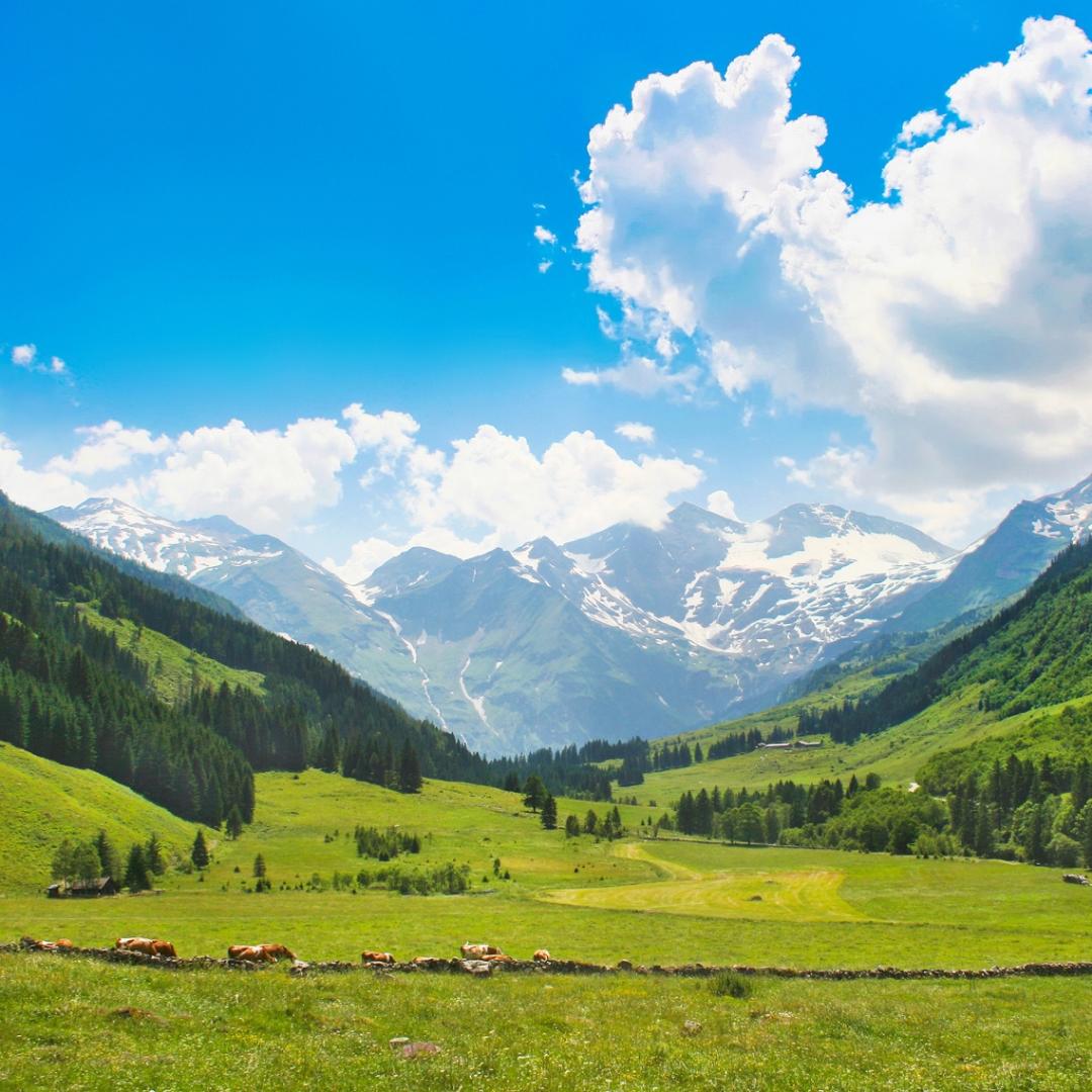 品味生活！！！