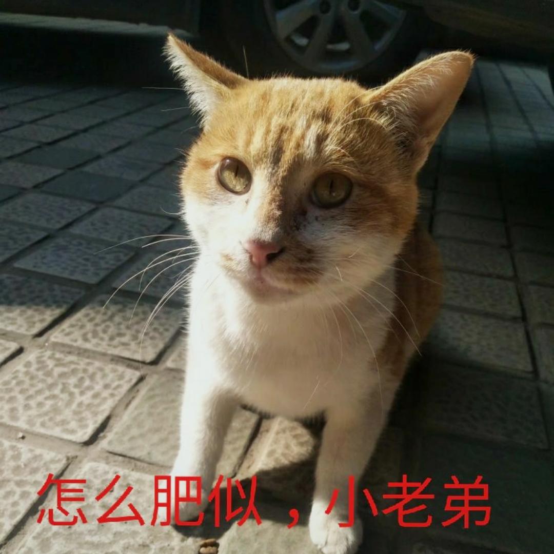 pphxp乔治