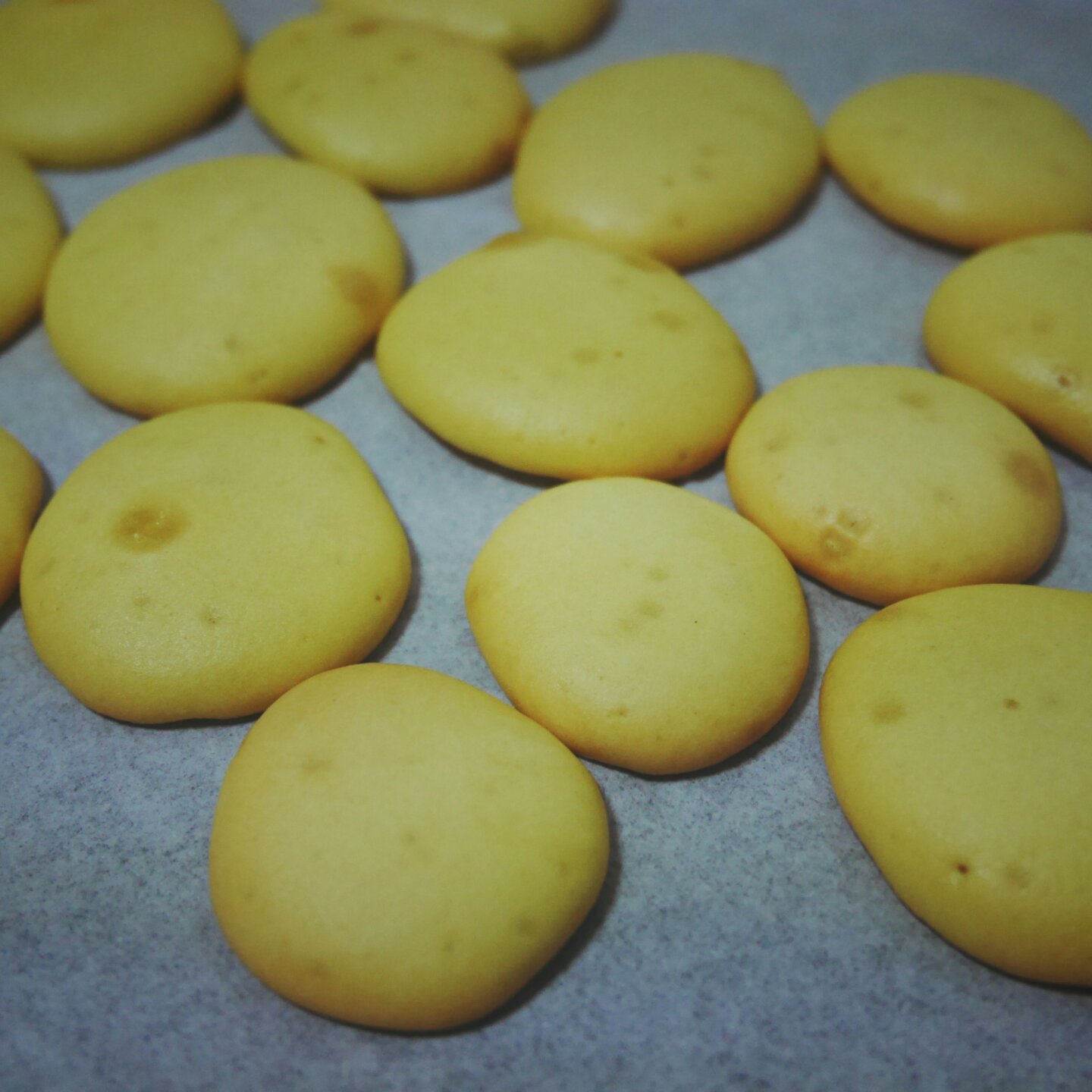 蛋黄小西饼（烤箱做饼干，简单又好吃）