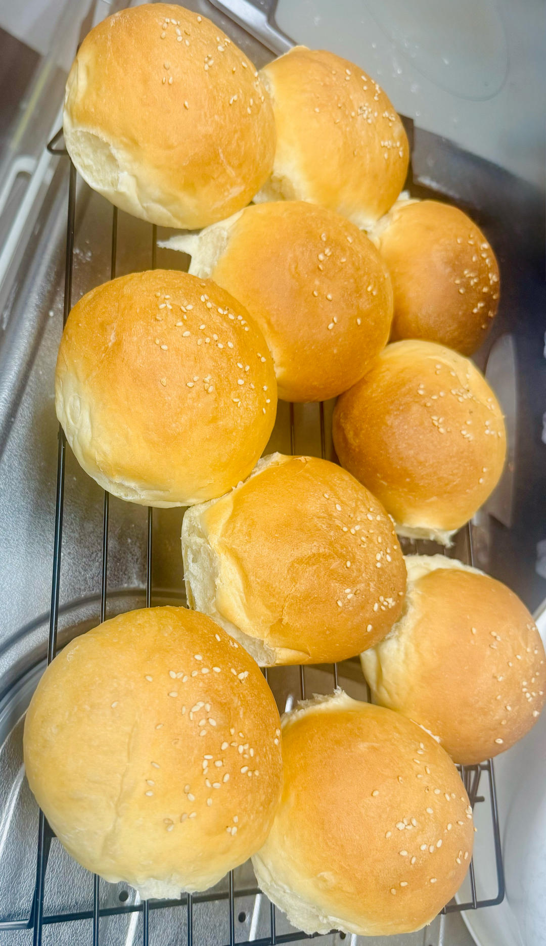 记录一个超级软的万用汉堡胚（波兰种）