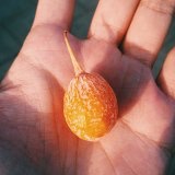 宇宙超级金刚芭比