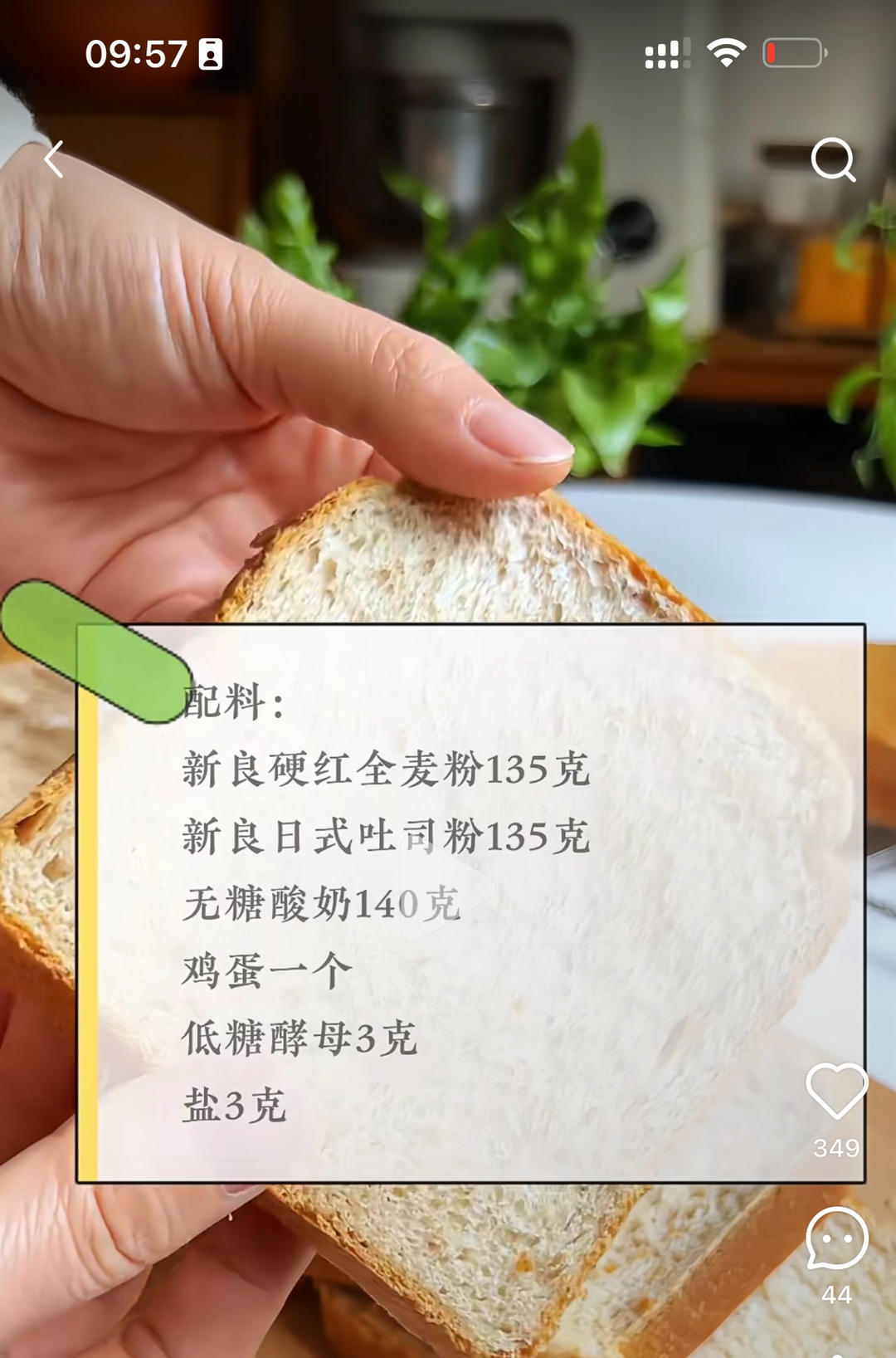 全麦吐司