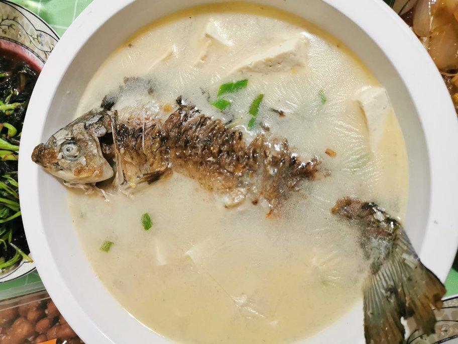奶白鲫鱼豆腐汤|一条鱼最后的温柔