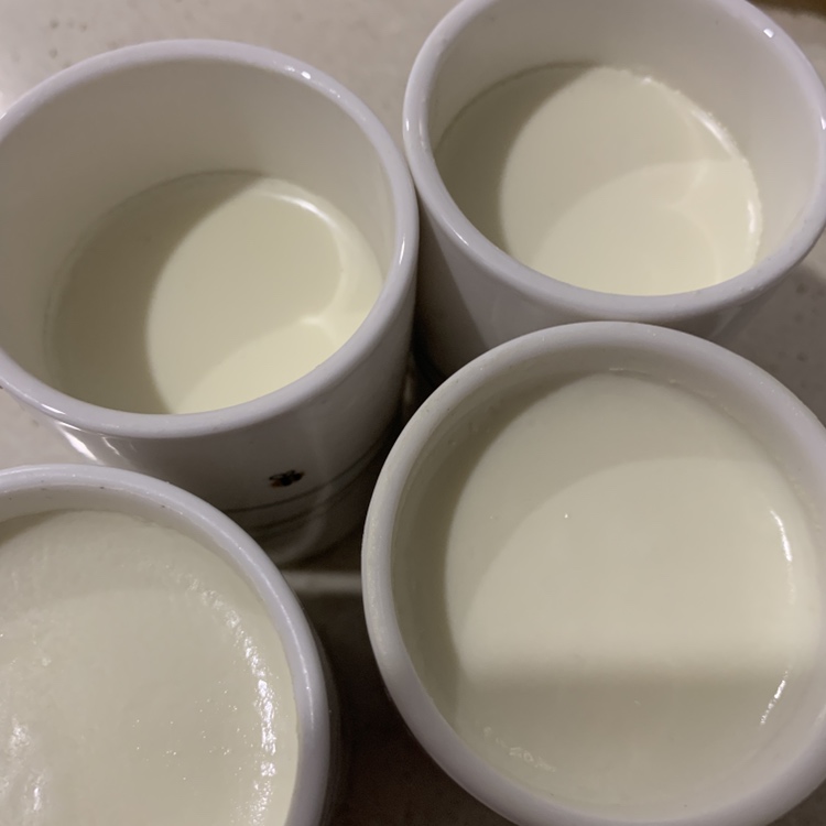 用奶粉做酸奶的做法