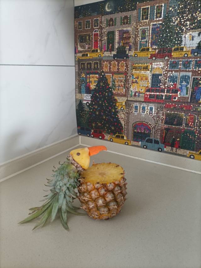 高颜值氛围拉满：鸟语花香菠萝饭