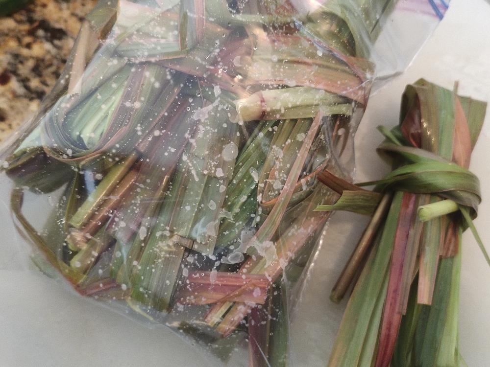 熊熊白白-无限循环的香茅/柠檬草的做法 步骤5