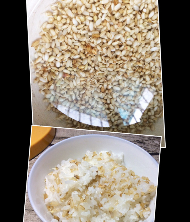 我是粗粮
