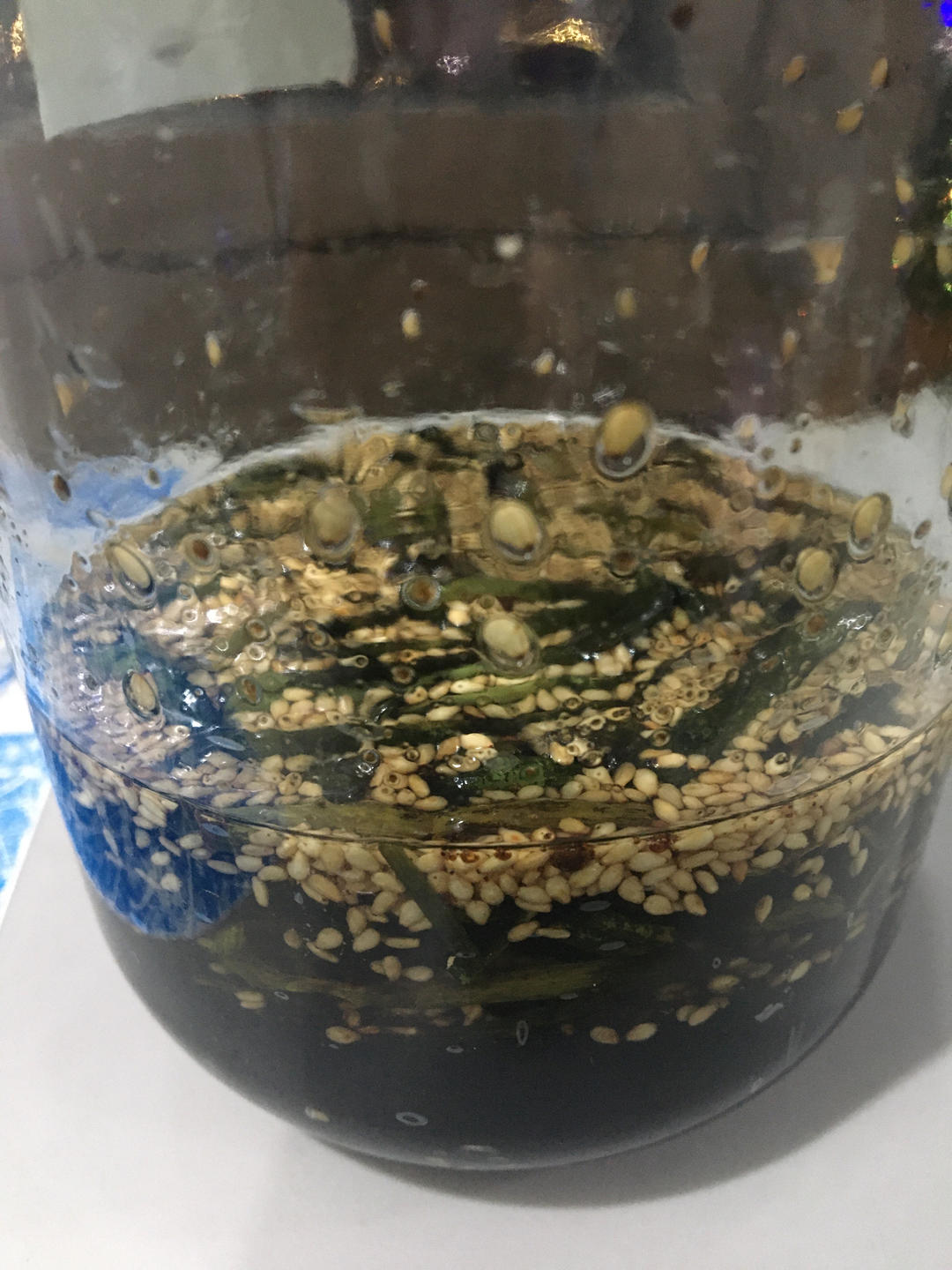 家常葱油制作（绝味葱油面）超详细