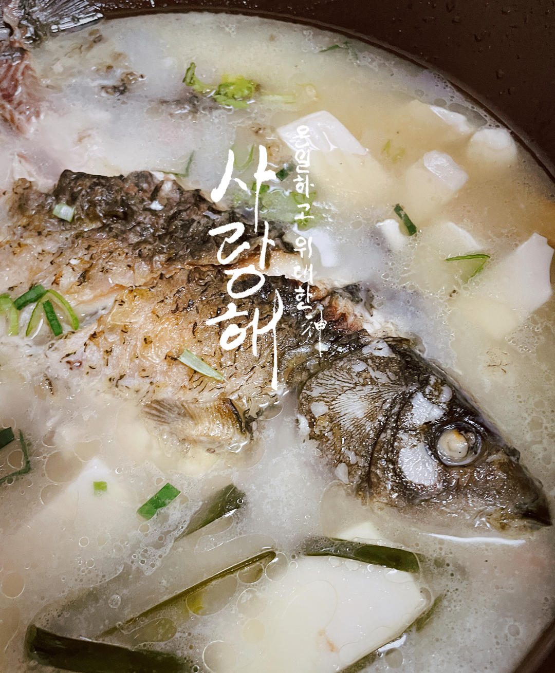 奶白鲫鱼豆腐汤|一条鱼最后的温柔