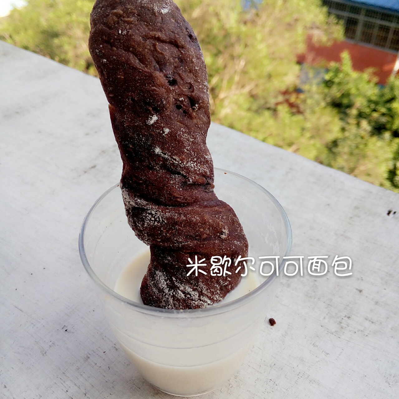 米歇尔可可面包（林大厨的手拌巧克力面包）