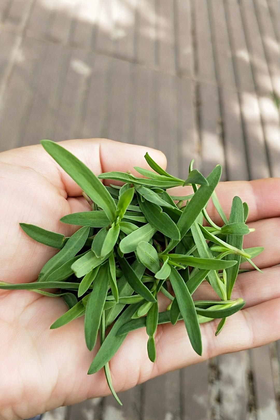 午餐•2018年5月10日