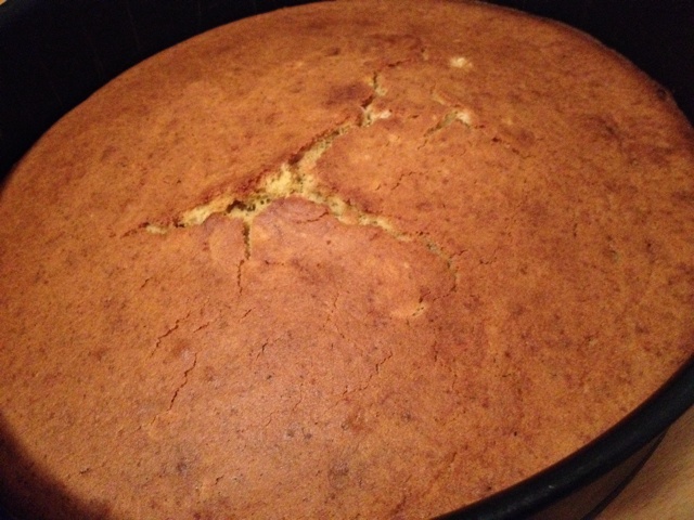 Corn Bread(玉米面包)