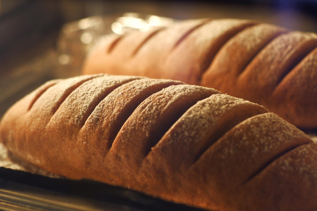 黑麦吐司 70%黑麦 波兰种