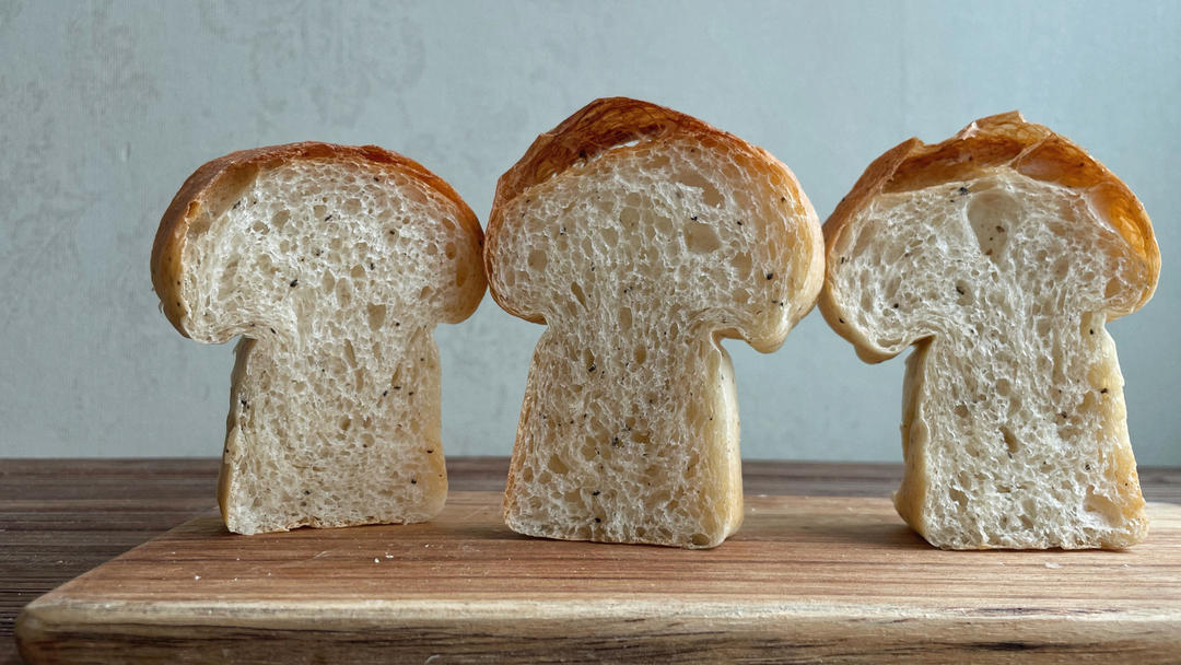 鲁邦种椒盐庞多米-超详细视频