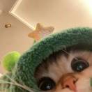 微信用户_E-hs_vamx