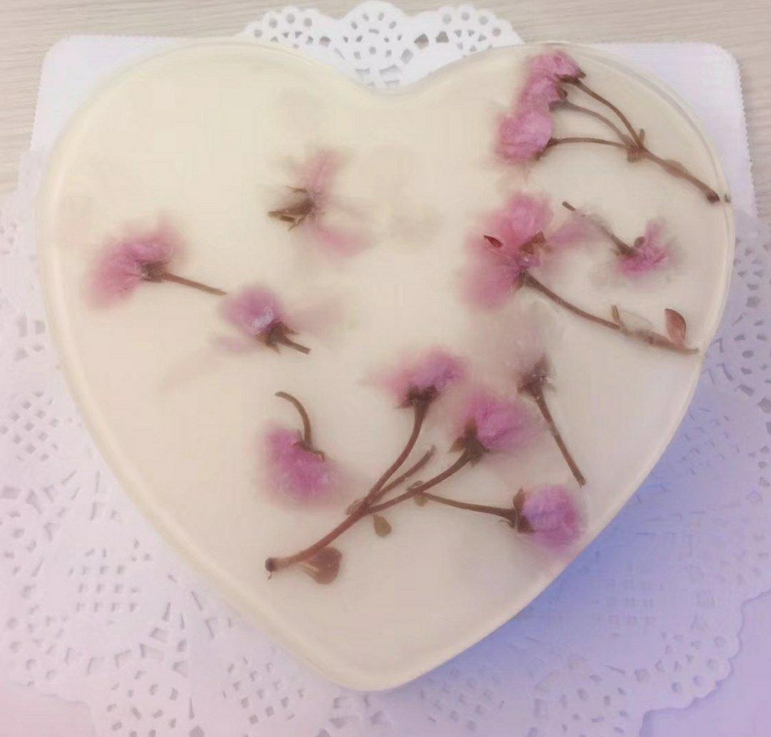 樱花酸奶慕斯蛋糕（免烤）