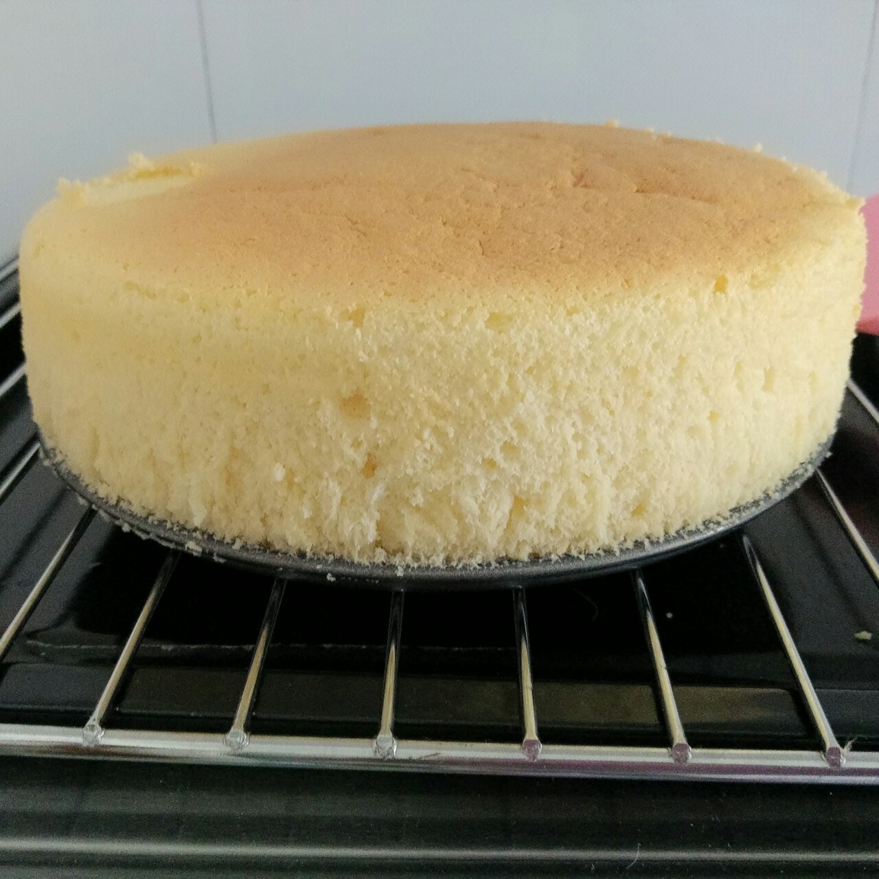 超软的~酸奶蛋糕