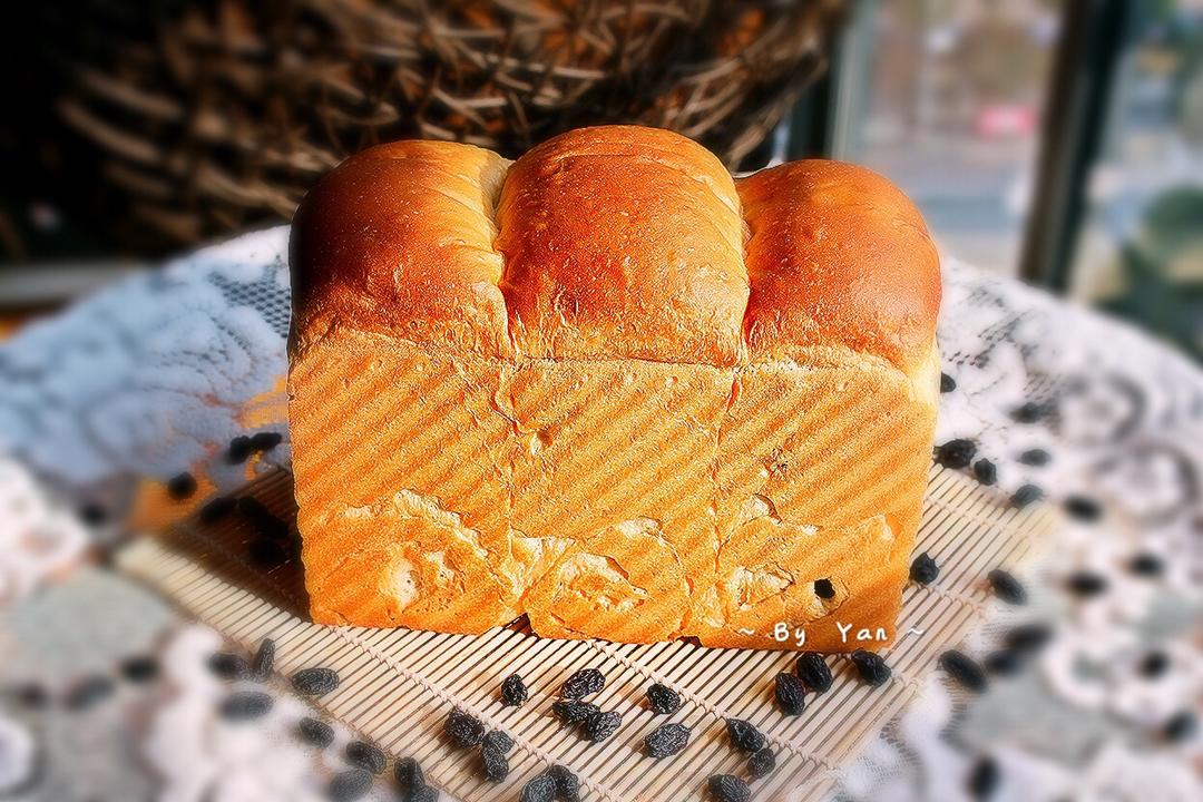 港式吐司～中种