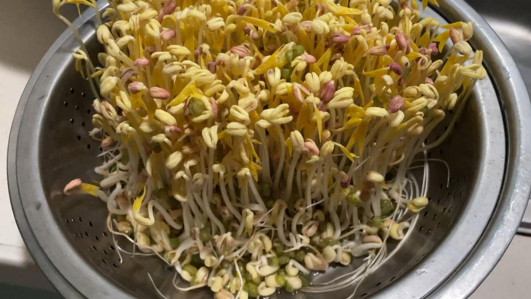 自发豆芽