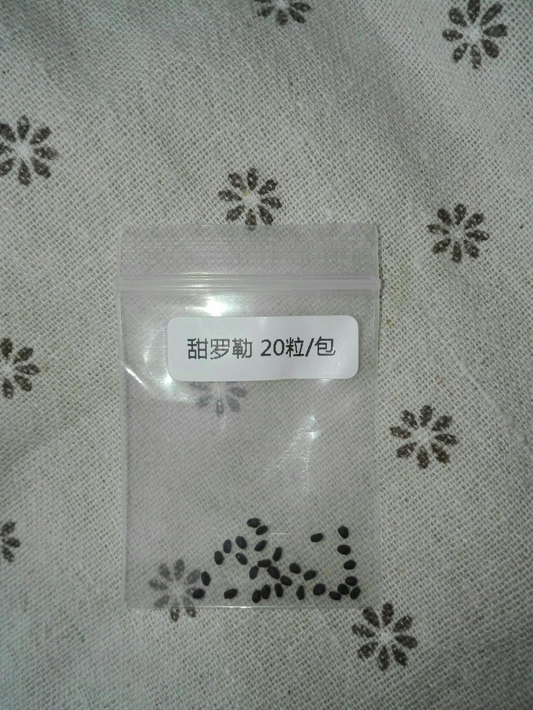 在阳台养花种草

是一种生活情趣