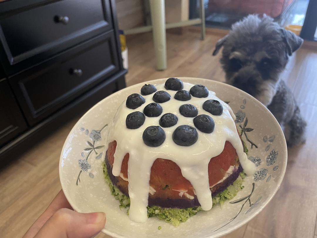 自制宠物蛋糕