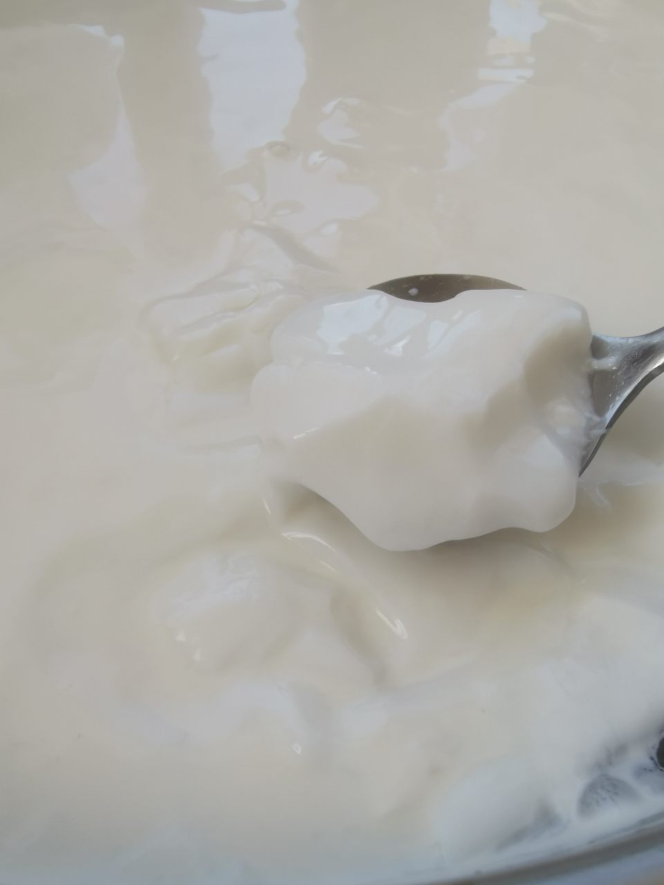 自制原汁原味酸奶的做法