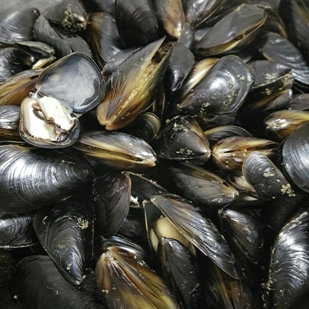 莫西子做的蒸贻贝