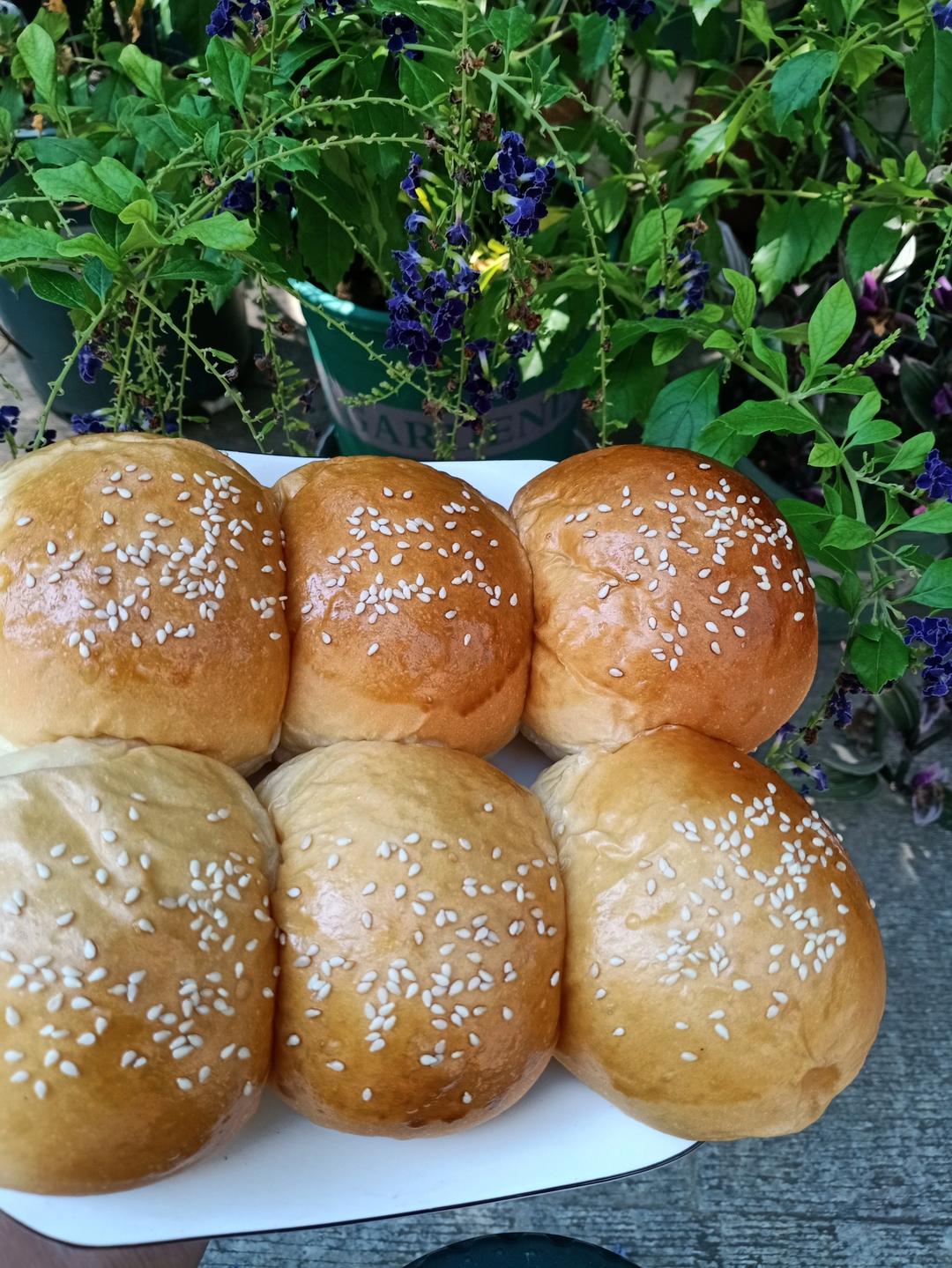 多力玉米油—柔软香甜一次发酵小餐包