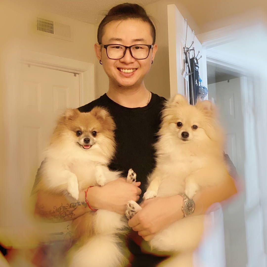 布丁悠悠球