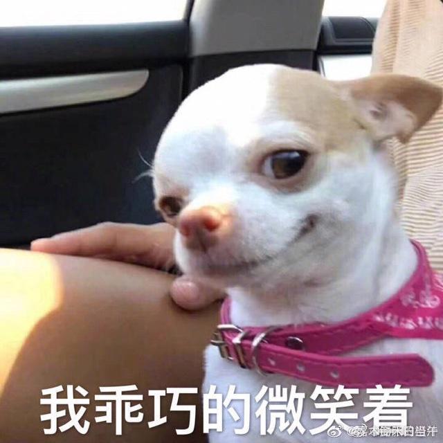 Jocelyn加油哇