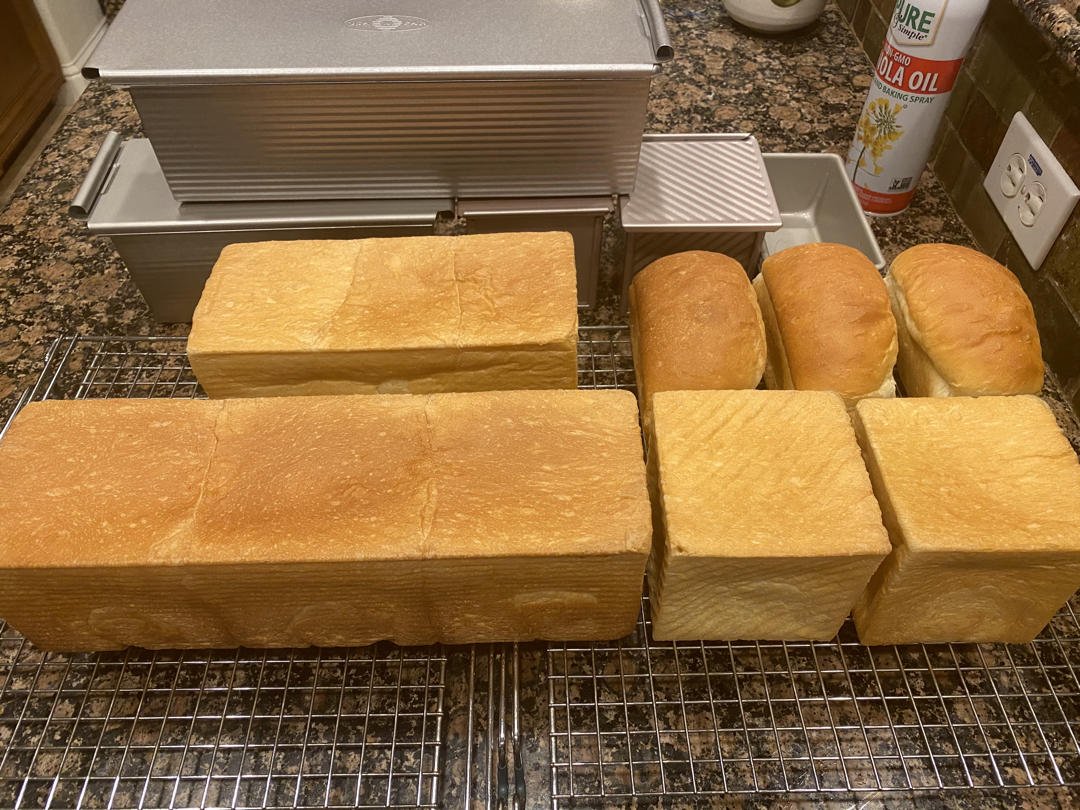 温泉北海道吐司             （温泉中种）