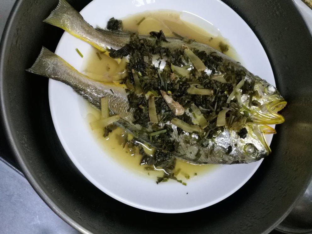 那一碗鲜得掉眉毛的"雪菜清蒸黄鱼"