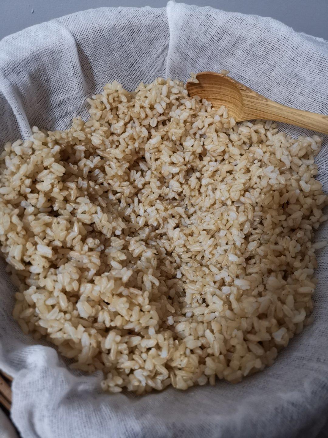 润肠通便降三高的玄米茶