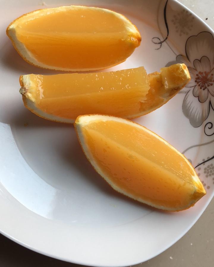 香橙布丁