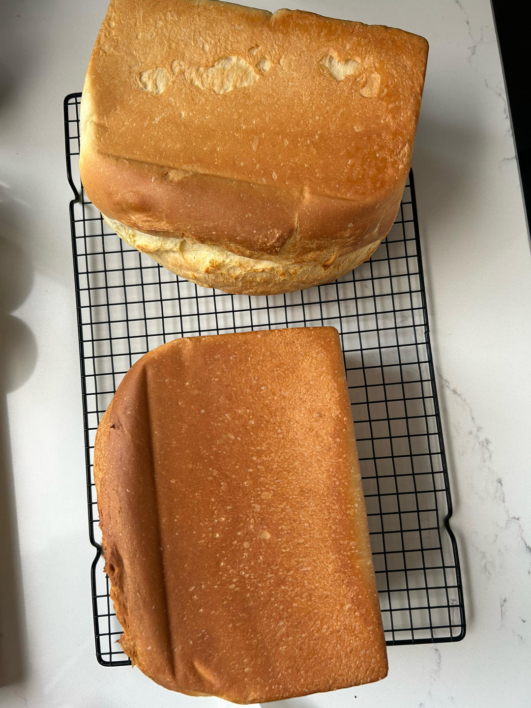 超软鲜牛乳巨蛋吐司