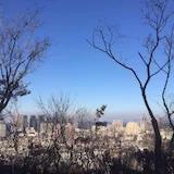 曲娃妈妈
