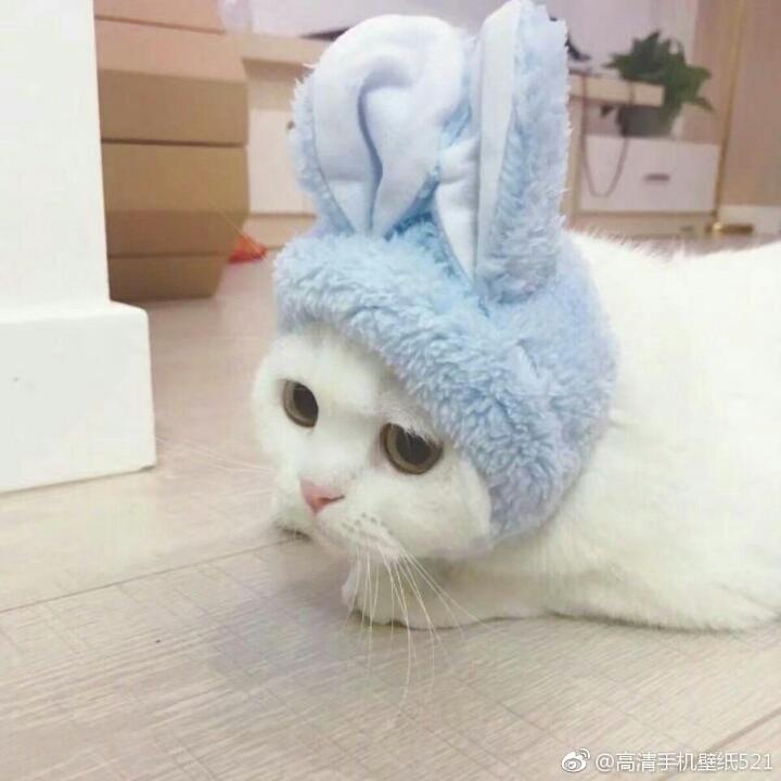 减肥还真爱吃-