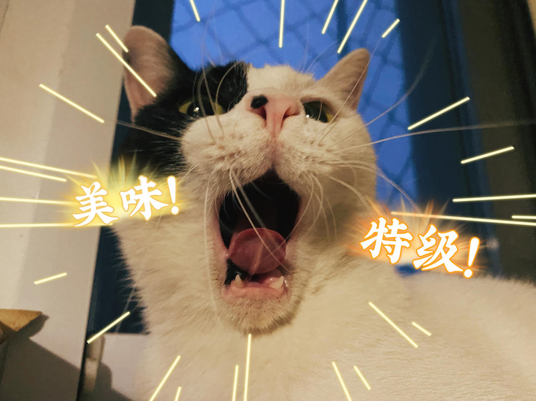 无常的亲爸