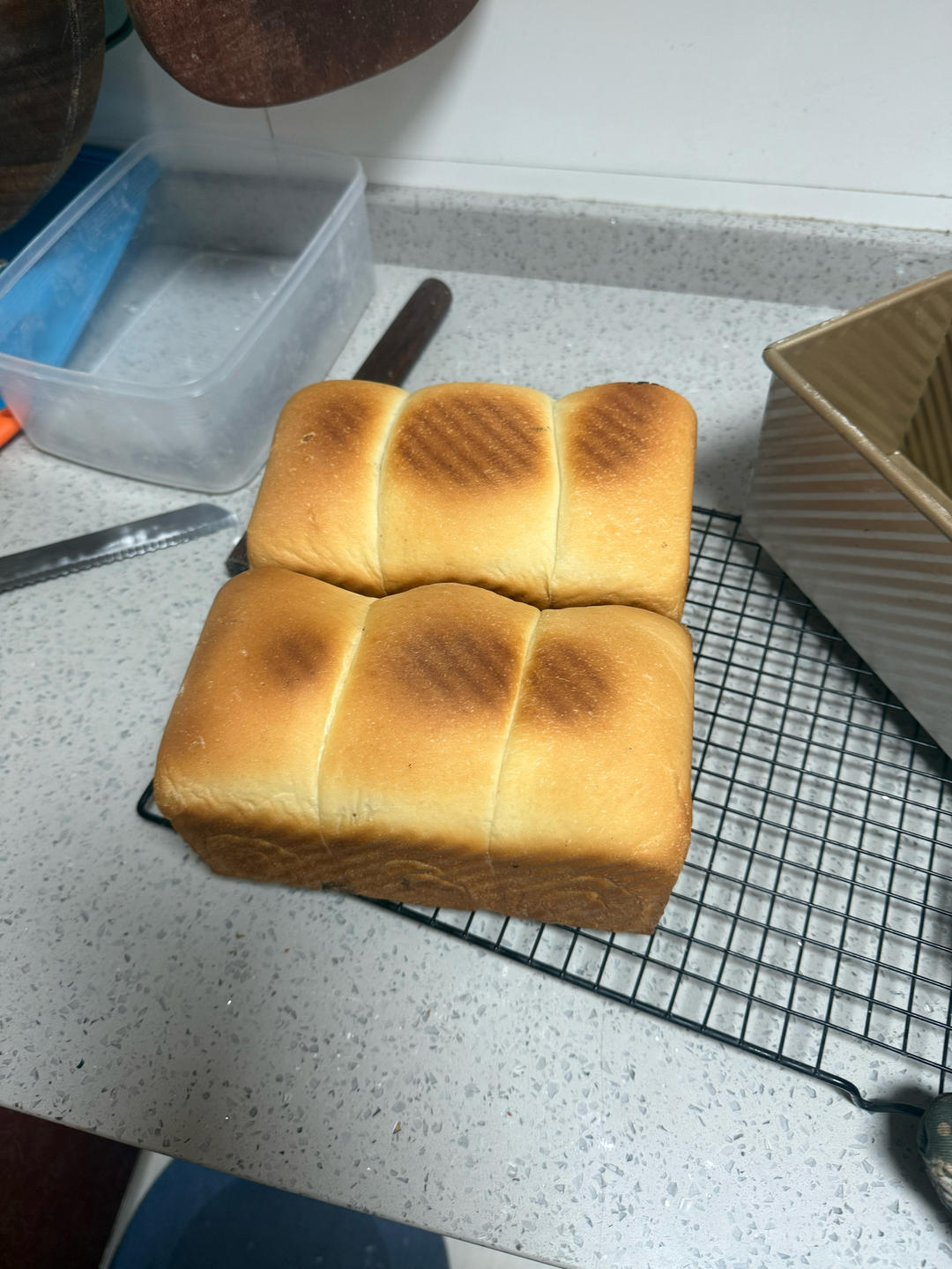 波兰种牛奶吐司