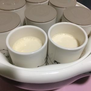 纯素酸豆乳（酸奶机）的做法 步骤5
